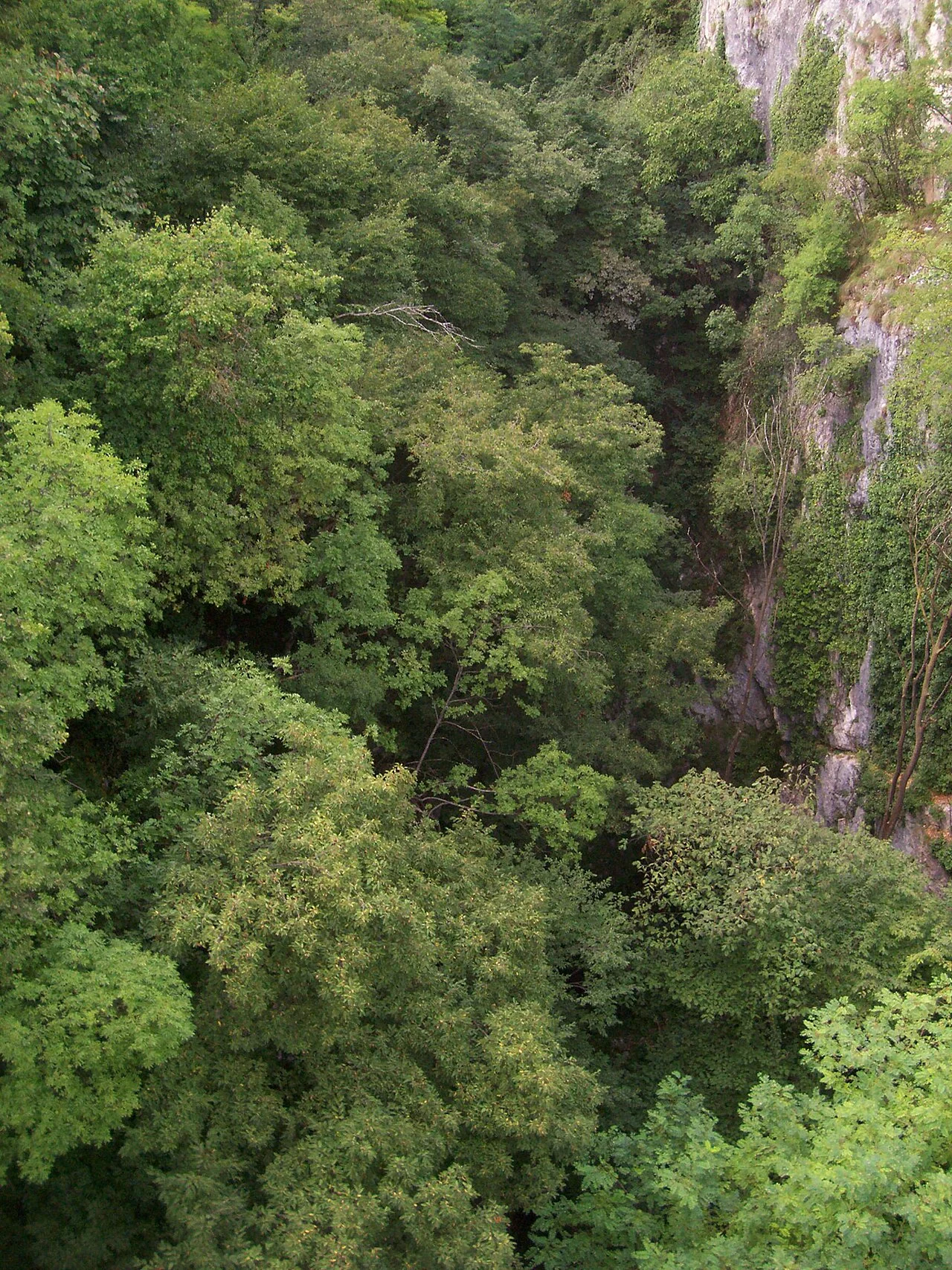 Diepe rotskloof in een vallei in Trentino bij het Gardameer